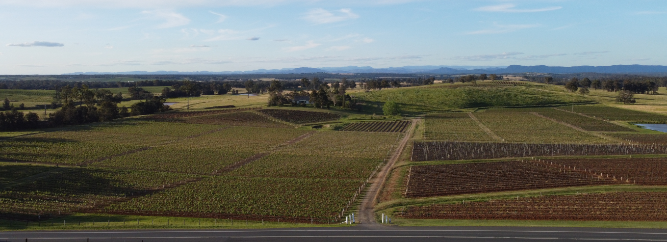 Tyrrell’s Wines